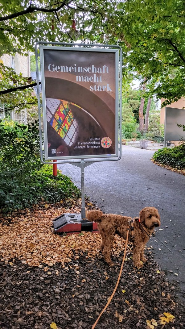 Plakate 50 Jahr Jubiläum Pfarreisozialdienst